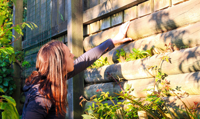 Retaining Wall