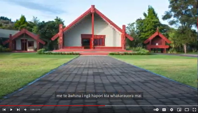 te reo video